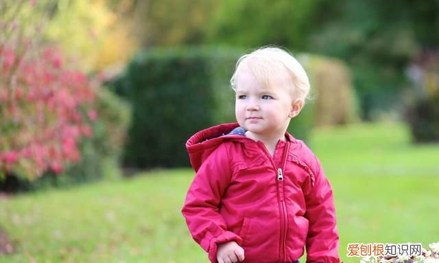 寓意神采奕奕,积极乐观的男孩名字大全