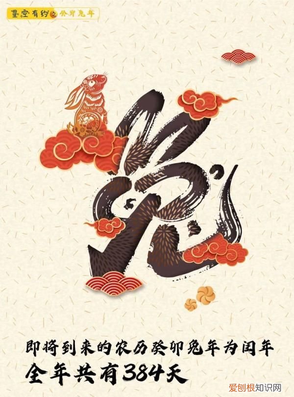 即将到来的兔年有384天怎么回事
