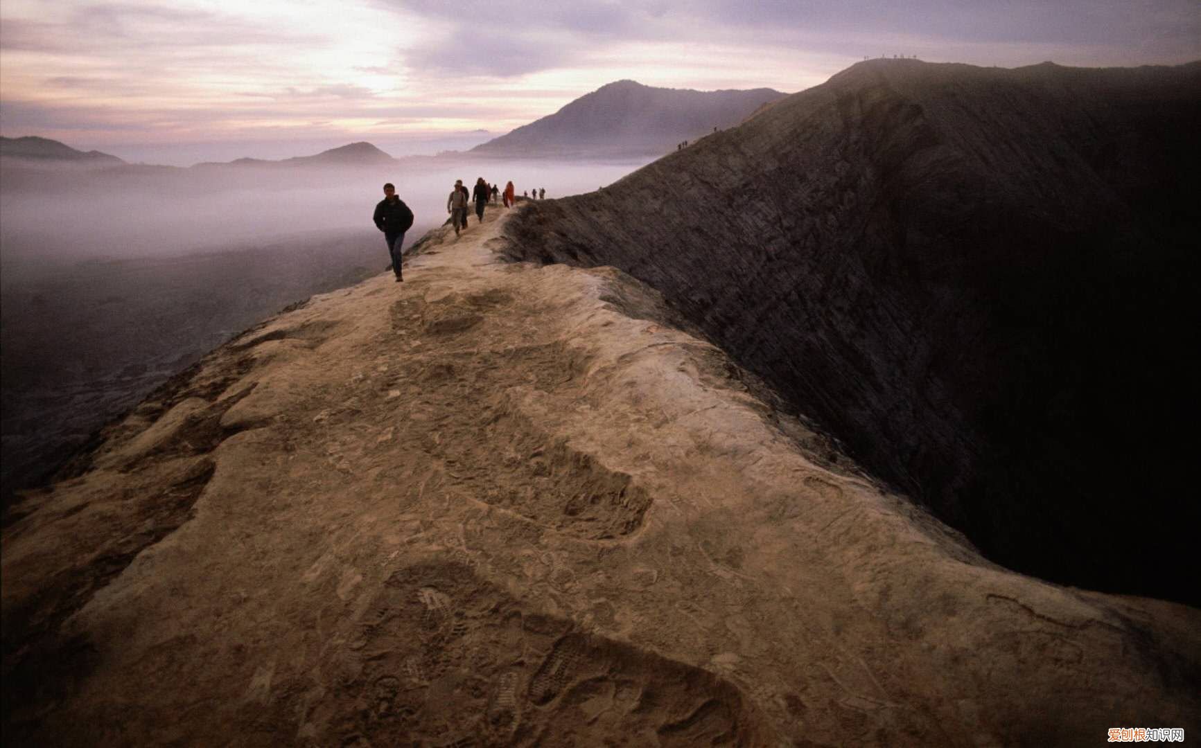 除了样子，还有你的气质 气质是由遗传决定的