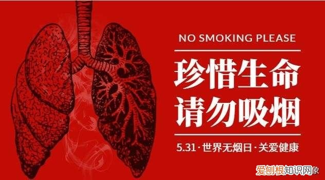 世界无烟日的由来 无烟日的由来