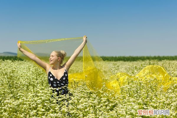 夏至的气候特点有哪些? 夏至是什么时候