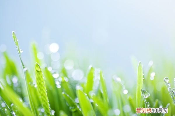夏至的气候特点有哪些? 夏至是什么时候