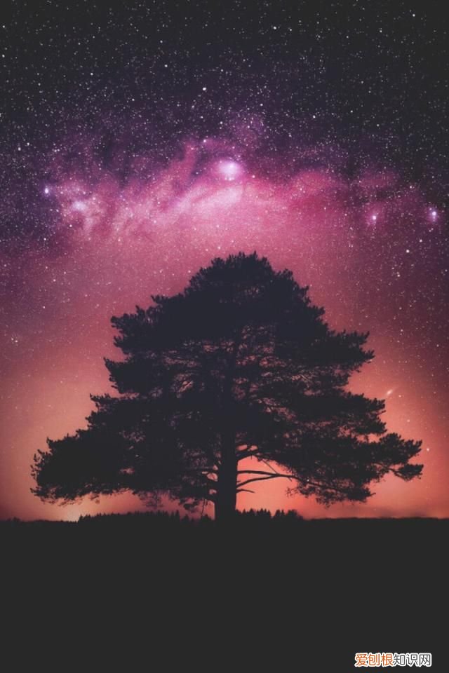 诗词鉴赏:海内存知己,天涯若比邻 海内存知己天涯若比邻意思