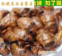 知了猴是什么味道，公知了猴味什么意思