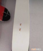 家里有蚂蚁怎么办，家里招了蚂蚁怎么办