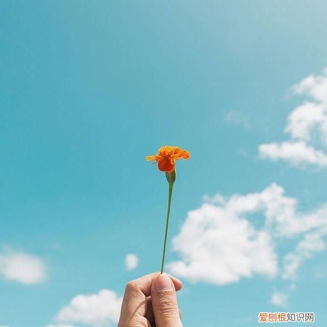 5.4青年节青春无敌祝福短信 节日短信大全