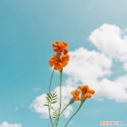 5.4青年节青春无敌祝福短信 节日短信大全