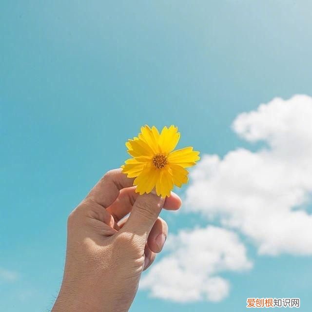 5.4青年节青春无敌祝福短信 节日短信大全