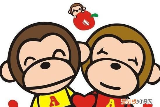 2016猴年宝宝名字大全男孩,2016猴年宝宝名字大全