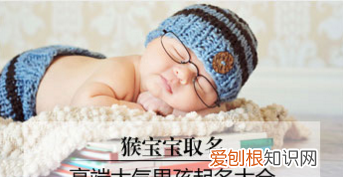 2016猴年宝宝名字大全男孩,2016猴年宝宝名字大全