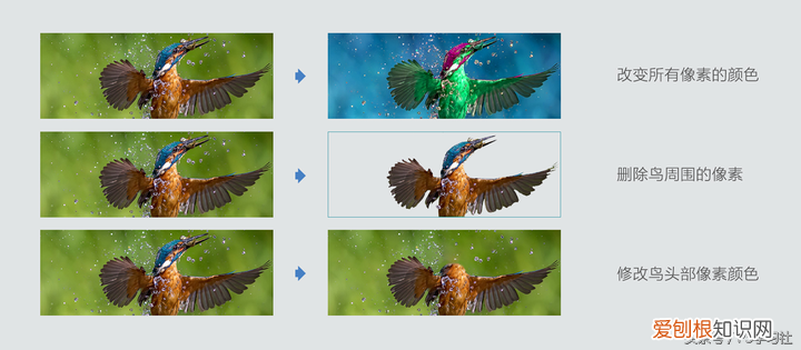 写给PS新手看的入门教程 ps入门学习