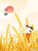 芒种这天下雨有什么说法