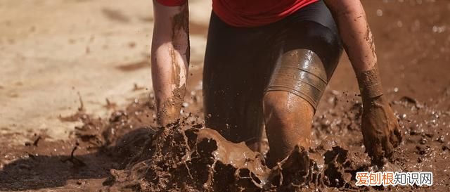 芒种这天下雨有什么说法