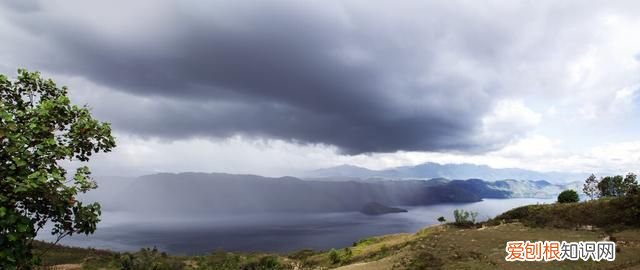 芒种这天下雨有什么说法