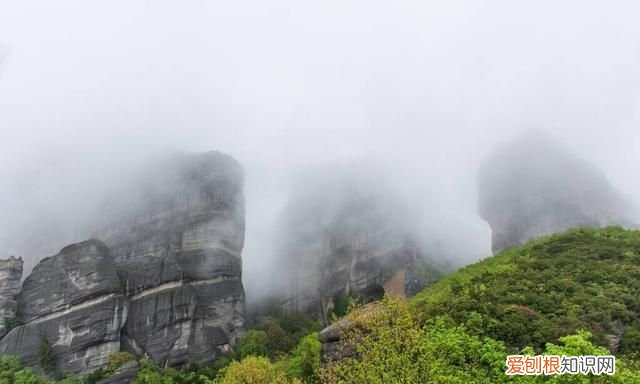 芒种这天下雨有什么说法