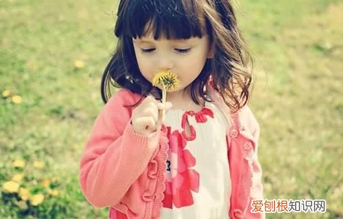 2016年女宝宝取名 内涵诗意的名字大全