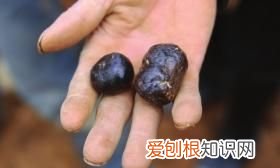 新化青山挖宝,新化挖出石塔