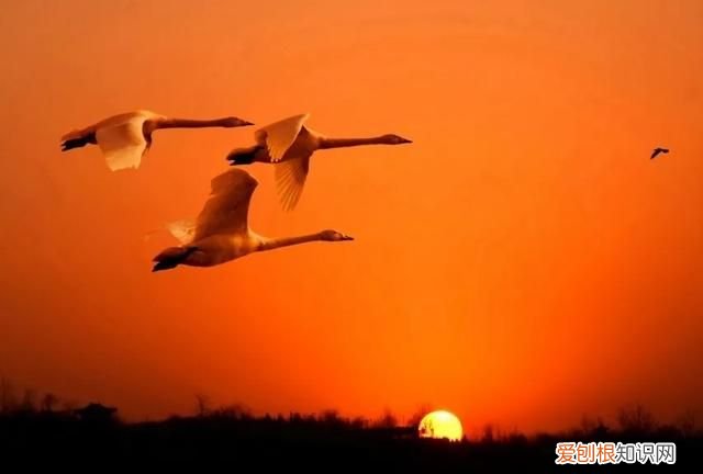 单反拍日出日落的技巧