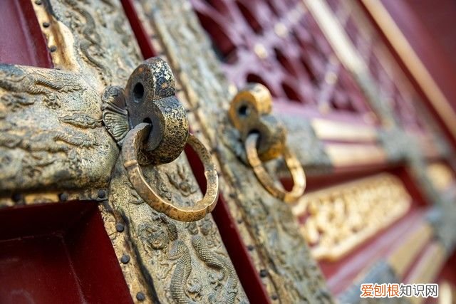 尼康Z大三元镜头的实力 尼康大三元镜头