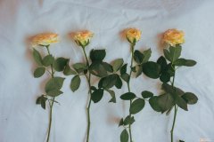 男人想离开你时，不会明说 离开的时候有些话没亲口说