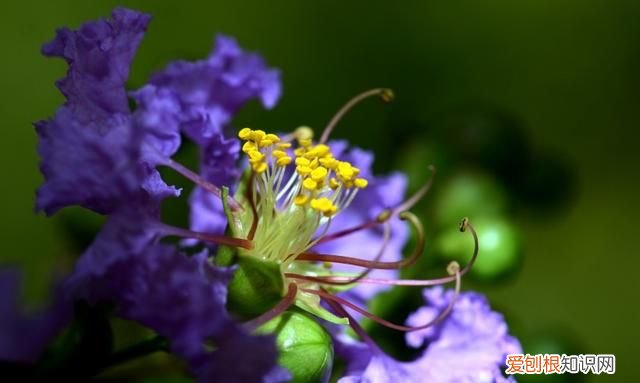 看清一个人一些事情的句子 唯美