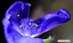 看清一个人一些事情的句子 唯美