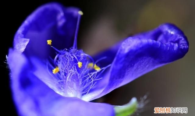 看清一个人一些事情的句子 唯美