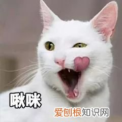 6款一生推的晒后修护产品 晒后修复产品