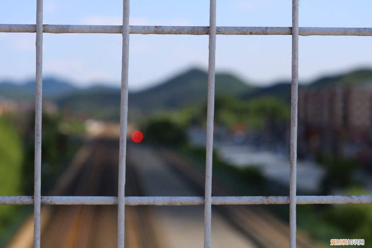 狐狸养殖方法  狐狸养殖