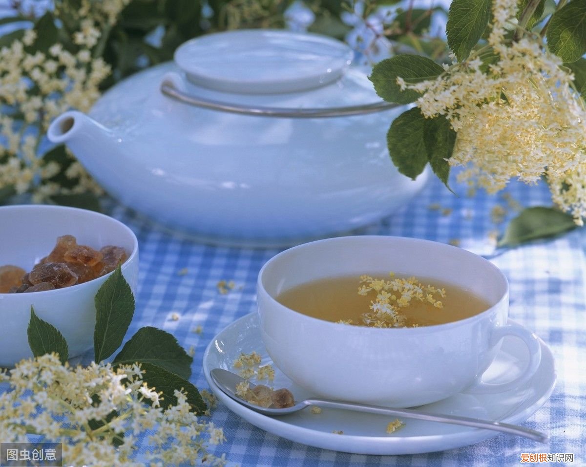 7个常用中药保健茶推荐 中药保健茶