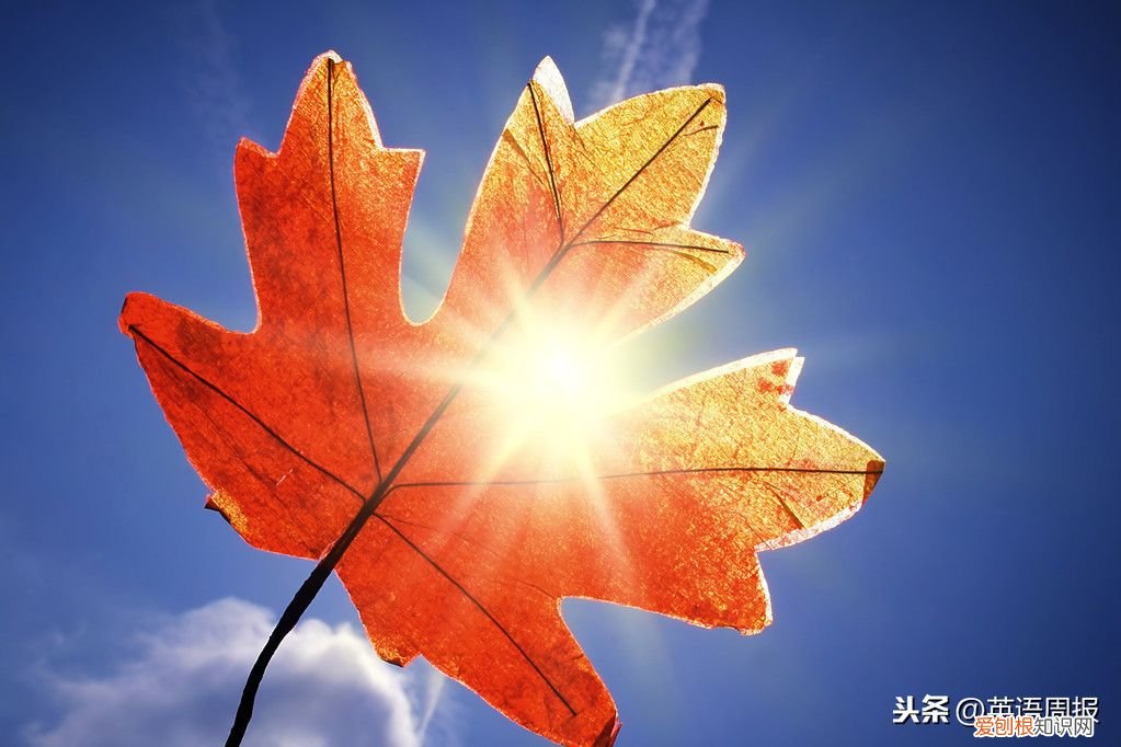 经典的英语句子精选60句 经典英文句子