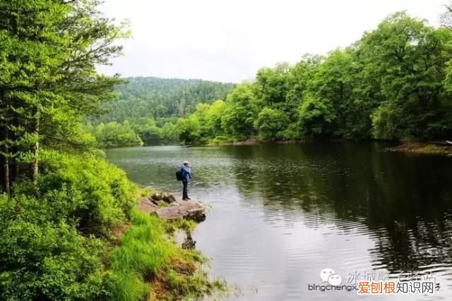 镜泊湖火山口地下森林 镜泊湖地下森林