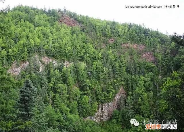 镜泊湖火山口地下森林 镜泊湖地下森林