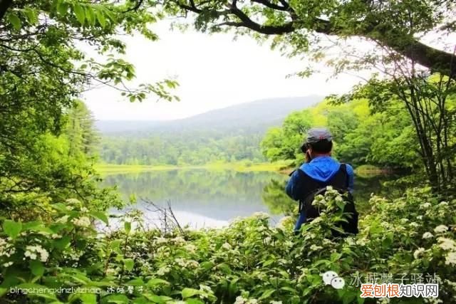 镜泊湖火山口地下森林 镜泊湖地下森林