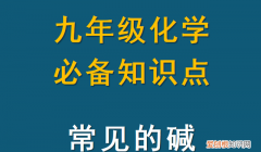 九年级人教版化学常见的碱知识点