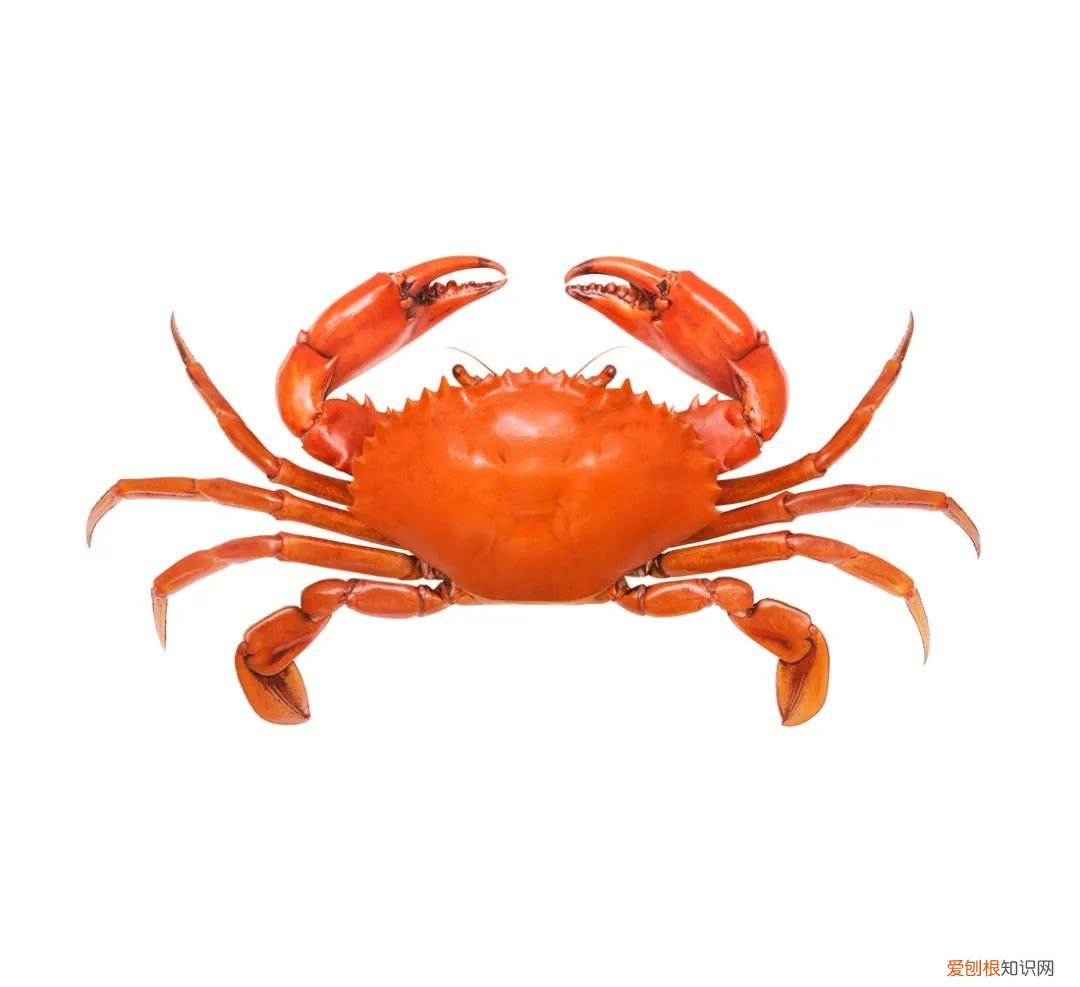 吃什么补铁补血 ！ 补铁补血！