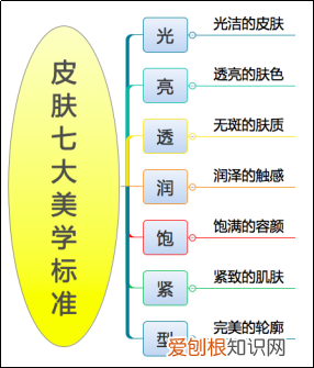 你真的认识你的皮肤吗？ 皮肤知识