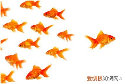 重温经典《顺流逆流》 顺流逆流 歌词