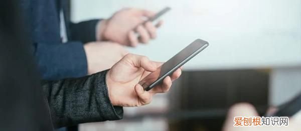 为什么现在下雨天也少有蜻蜓了？ 雨中蜻蜓