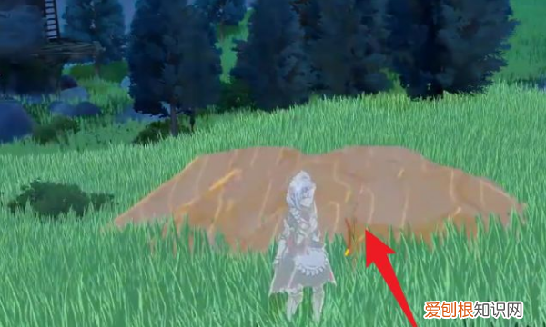 原神36小精灵怎么获得，原神人物旁边的小精灵怎么获得