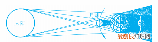 为什么一年有365天或366天?