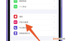 苹果手机怎么调静音模式，苹果手机该要怎样才可以静音