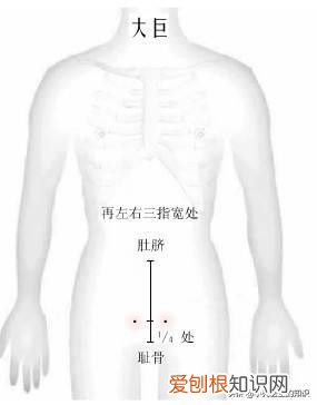 女性肚脐下面疼！ 肚脐眼下方疼！