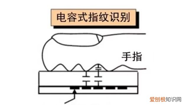 三大指纹识别原理 指纹识别技术