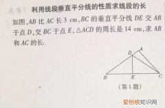 初二数学线段垂直平分线讲解