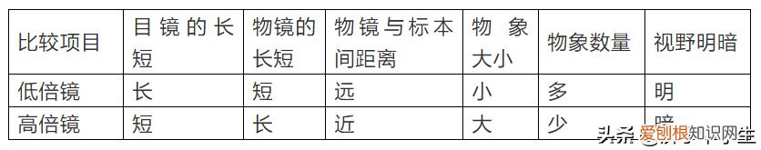 显微镜使用方法 显微镜的使用步骤