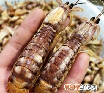 虾爬子怎么保存，虾爬子买回来怎么保存一下午