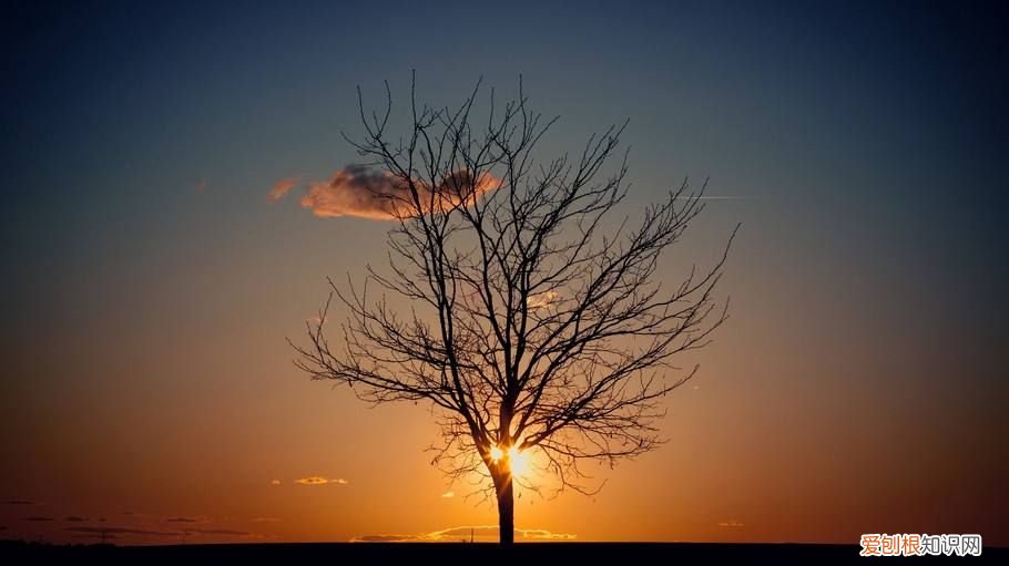 王朔最极致的15句话 王朔语录