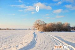 适合下雪天发的文字句子 关于雪的个性签名