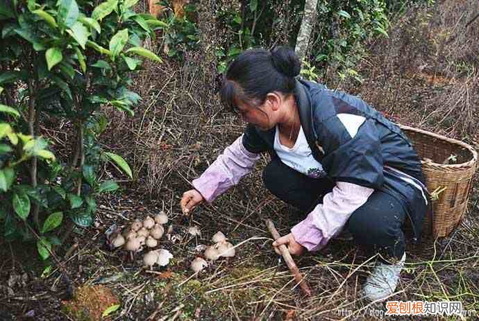 舌尖上的中国美食观后感 舌尖上的中国观后感